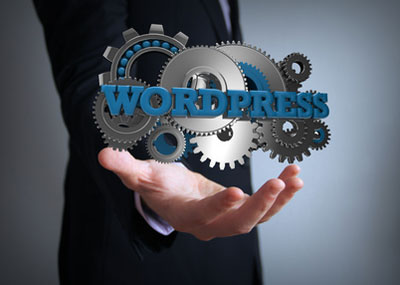 Wordpress icon